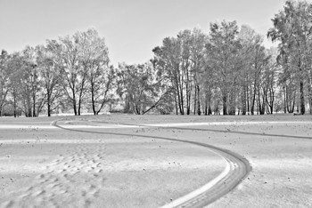 Black and white / ***