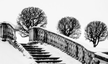 Black and white / ***