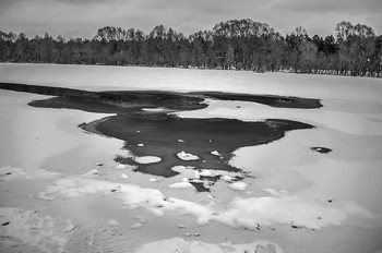 Black and white / ***