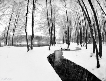 Black and white / ***