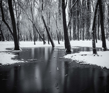 Black and white / ***