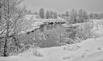 Schwarz und weiß / ***