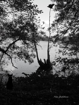 Schwarz und weiß / ***