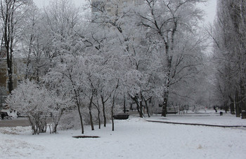 Schwarz und weiß / ***