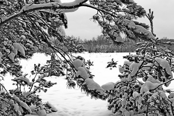 Black and white / ***