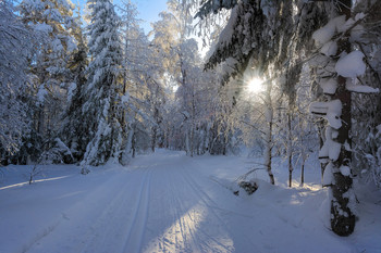 Winter afternoon / ***