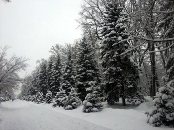 Schwarz und weiß / ***