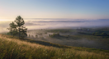 Rural Morgen / ***