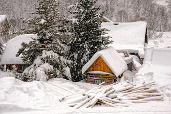 Winter / ***