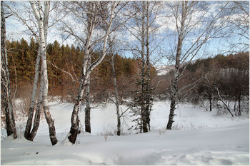 Environment / ***