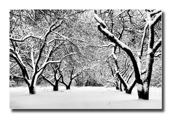 Winter-Etüde / ***