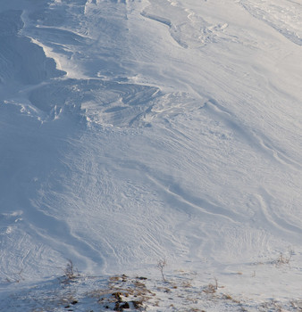Snow / ***