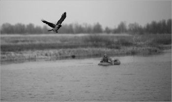 fishing / ***