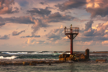 Mediterranean / Tel-Taninim. Israel