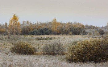 Fall haarige Freundin / ***