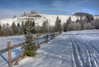 Herbst Morgendämmerung / [img]https://i.imgur.com/ozHEVXs.jpg[/img]
[img]https://i.imgur.com/4mWJi4N.jpg[/img]
