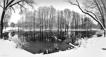 Winter schedule / ***