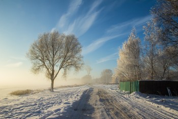 Winter fog / ***