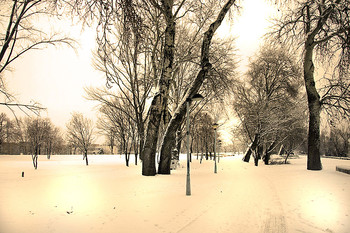 Winterlandschaft / ***