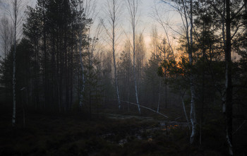 Spring / ***