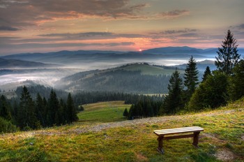 &nbsp; / [img]https://i.imgur.com/6knP6Ht.jpg[/img]
[img]https://i.imgur.com/r3iG6gY.jpg[/img]
