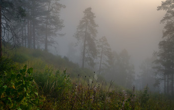 Fabulous morning / ***