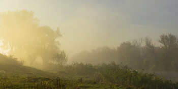 Morgendämmerung / ***