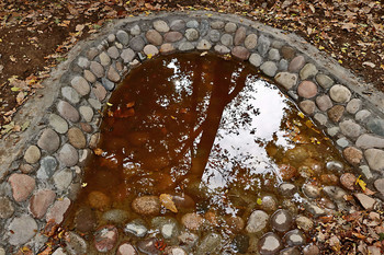 puddle / ***