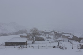 The village / ***