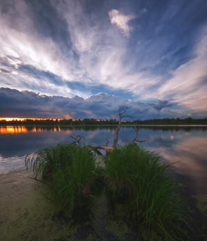 Waiting for sunset / ***