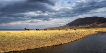 Startseite ... / ***