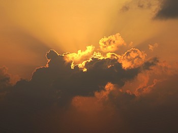 Sunset / ***