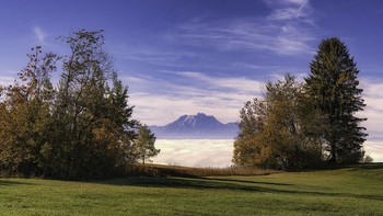 Goldener Herbst / ---