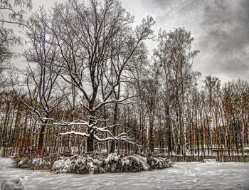January. / ***
