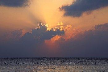 Sunset / ***