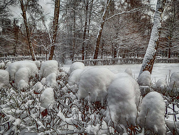 Nach einem Schneefall. / ***