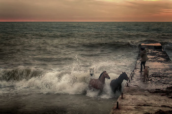 Evening at Sea / ***