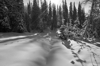 winter / ***