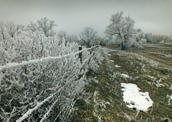 Outgoing winter / ***
