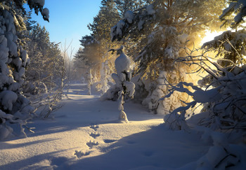 Winter landscape / ***