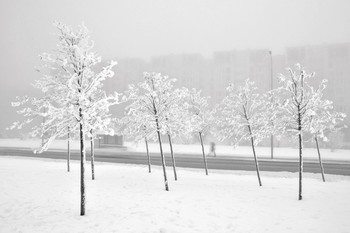 Winter-Etüde / ***