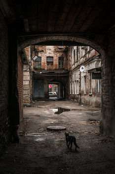 Courtyard / ***