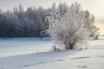 Der Winter kam / ***