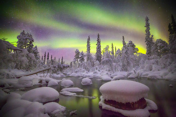 Northern lights / ***
