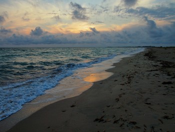 Coast / ***
