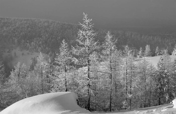 South Ural / ***