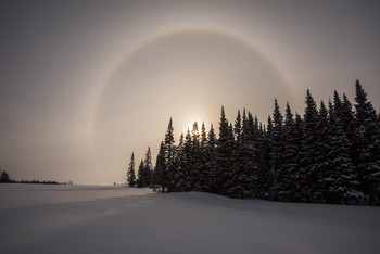 Cold Sun / [img]https://i.imgur.com/nxZBz2u.jpg[/img]
[img]https://i.imgur.com/nomuaYx.jpg[/img]
