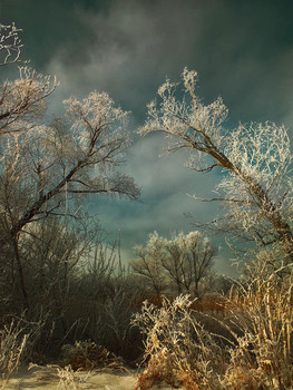 There, on unknown paths ... / ***