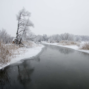 winter has come / ***