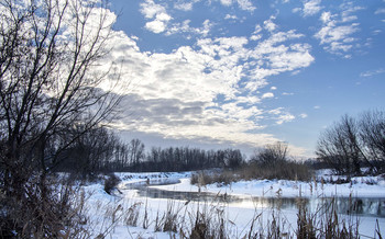 sunny day / ***